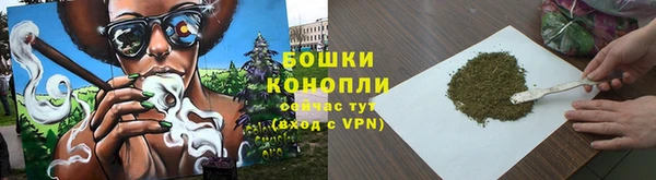 винт Бронницы
