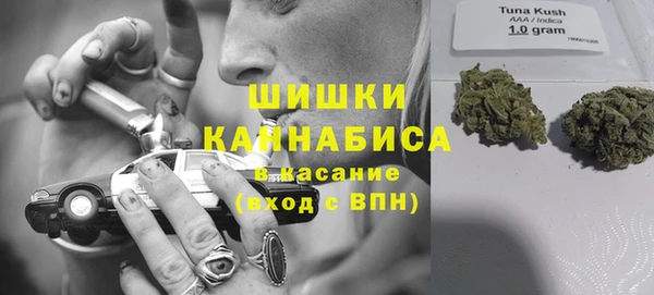 винт Бронницы
