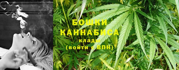 винт Бронницы