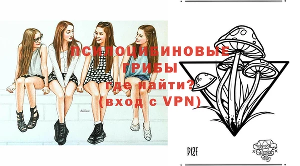 винт Бронницы