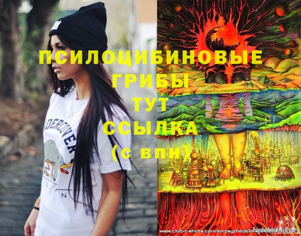 винт Бронницы