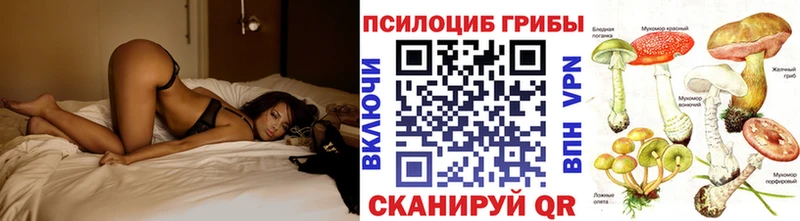 Галлюциногенные грибы Psilocybe  Медногорск 